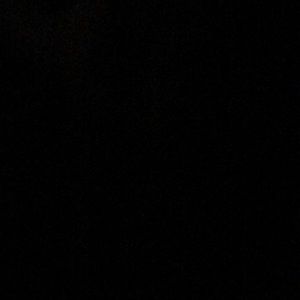 Meet your Posher, Sanata